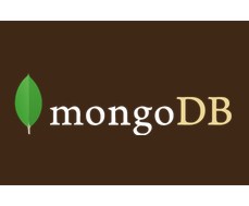 mongodbsquare