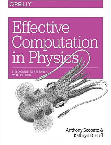 effectivecomputationinphysics