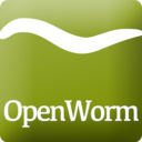 openwormicon
