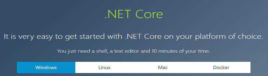 net core versions