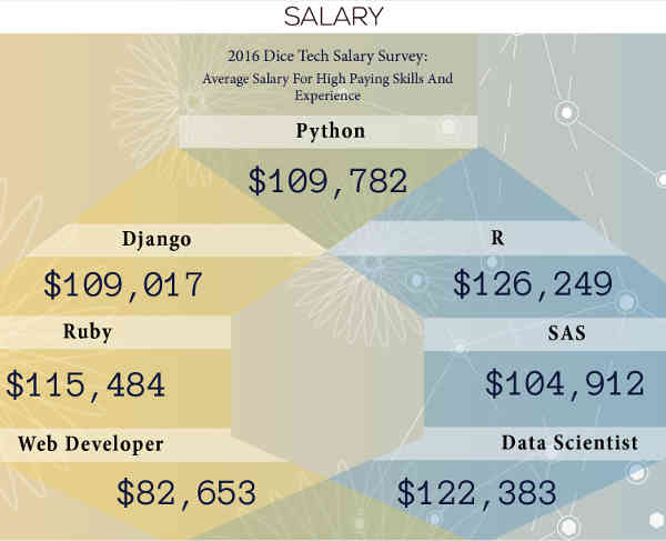 Python Web Development Data Science icon