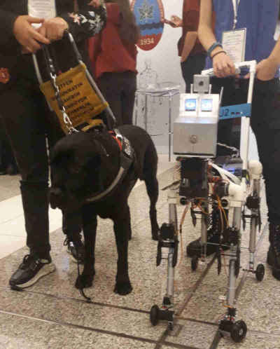 RoboticGuideDog