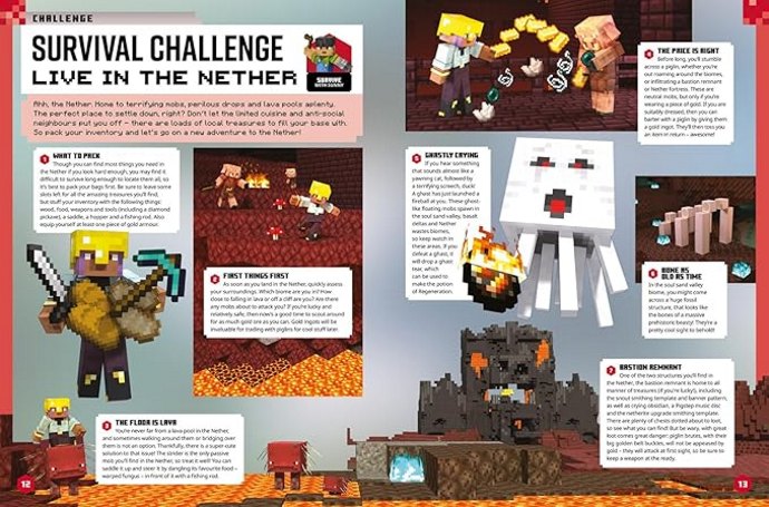 MinecraftAnnual inside