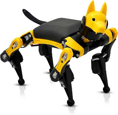 robotdog